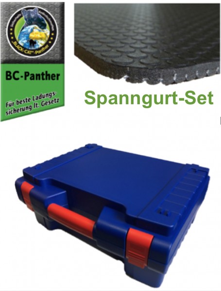 Spanngurt Set für Transporter Sprinter Pack 1